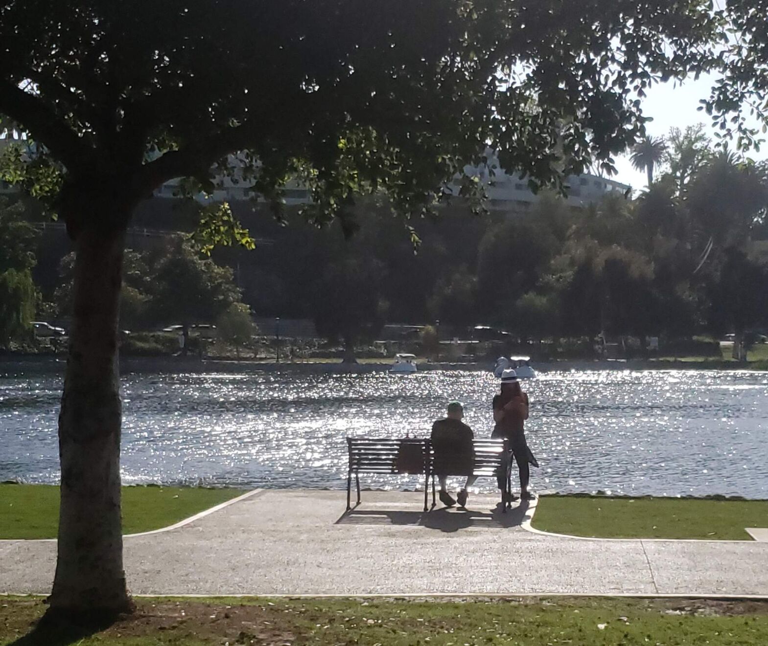 Echo Park Lake visitors